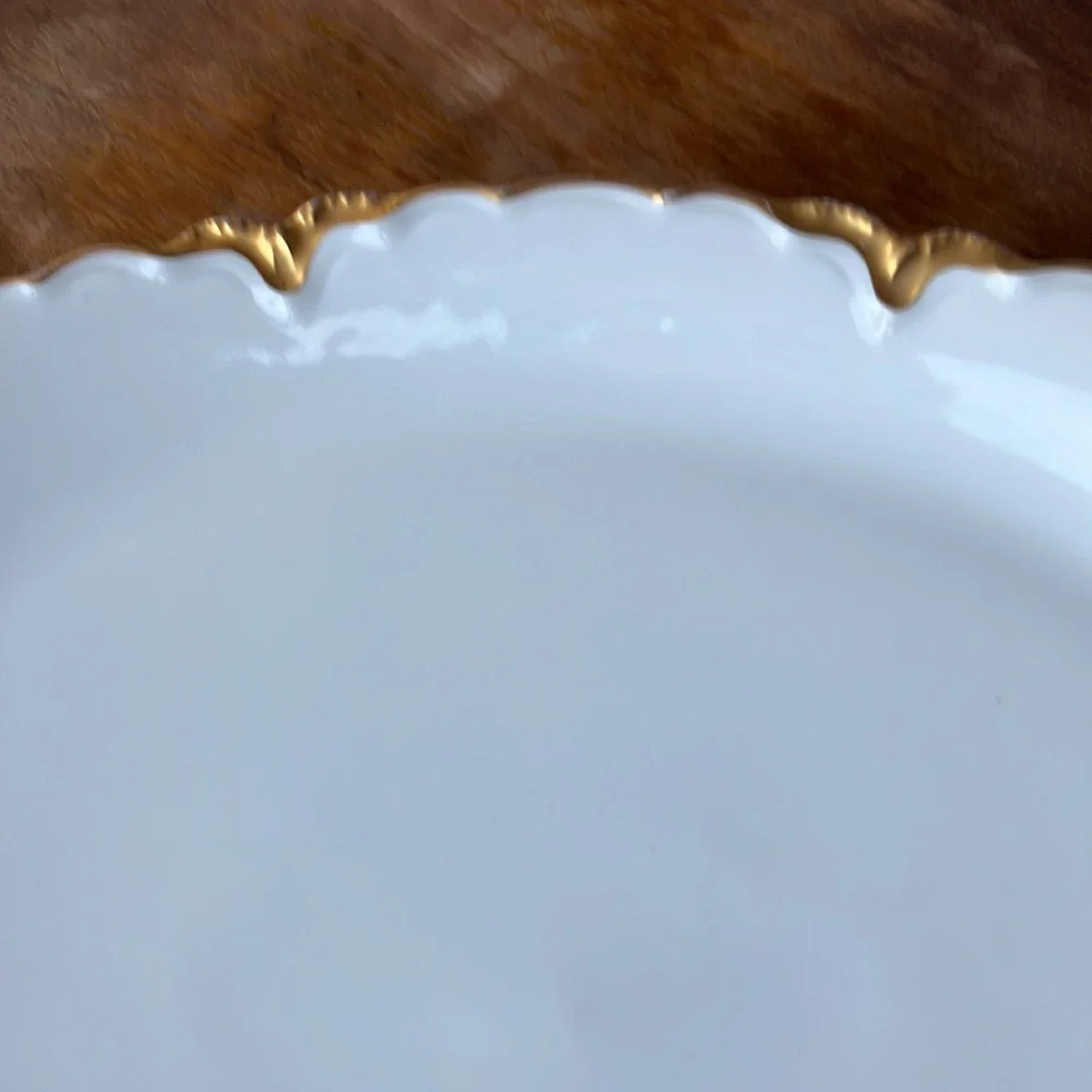 Haviland & Co. Limoges France Ranson Gold Trim w. Well Oval Serving Platter 16